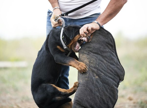 Step-by-Step Guide: Installing and Customizing Aftermarket Car Security Systems in the UK